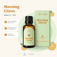 Levoit × Bath Garden Morning Citrus Diffuser Oil – 30ml