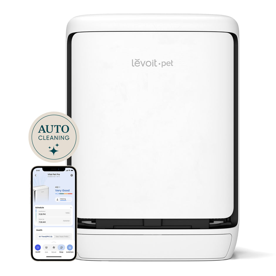 Levoit pet smart air purifier, white front panel with auto-cleaning indicator beside it