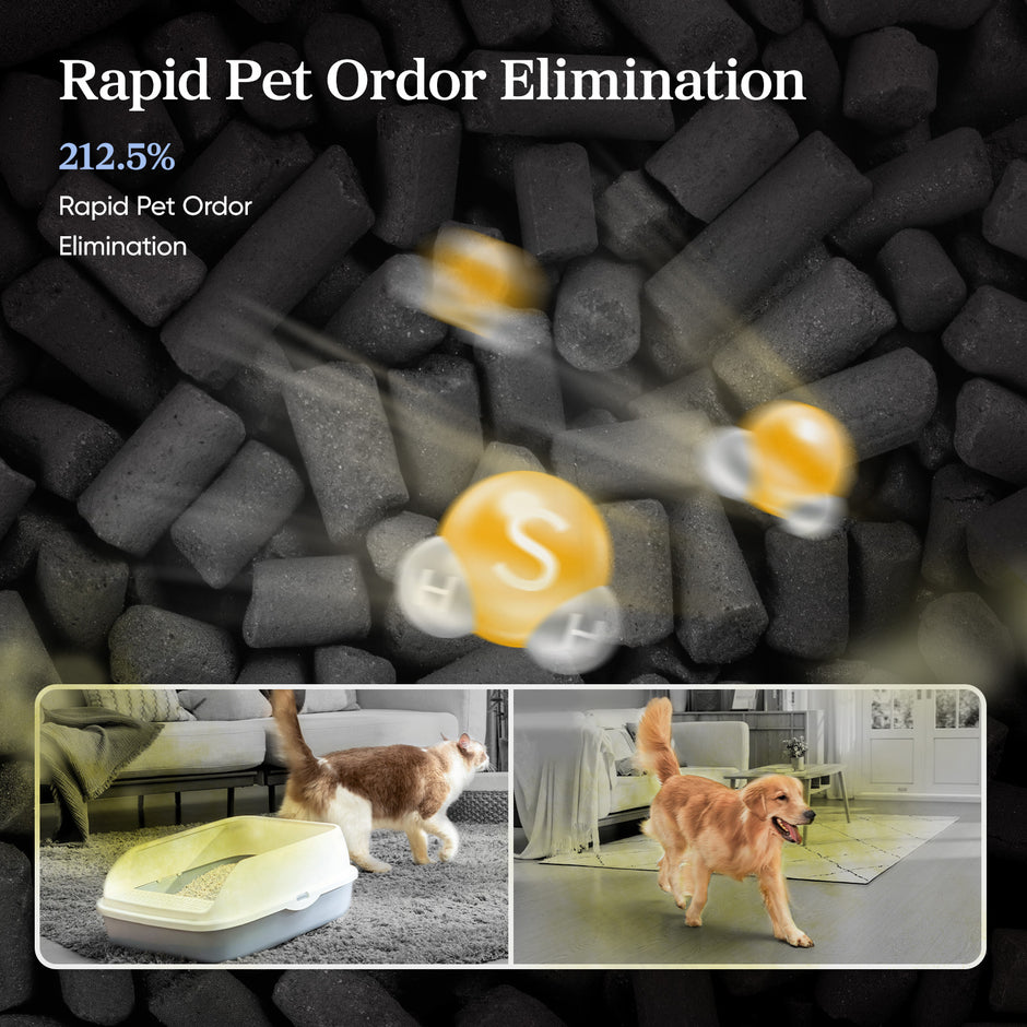 Pet air purifier with inset of unit running near pets