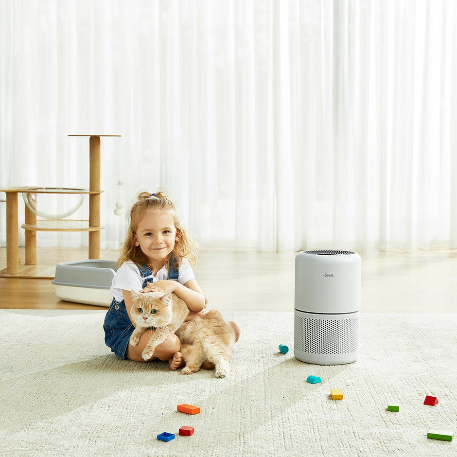 Levoit Core 300 Air Purifier