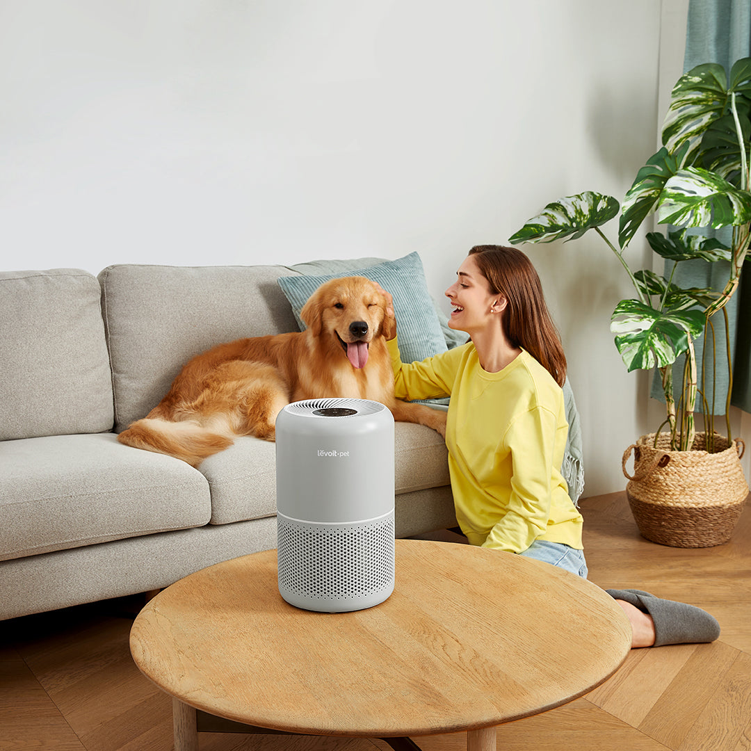 Levoit Core P350 Pet Air Purifier