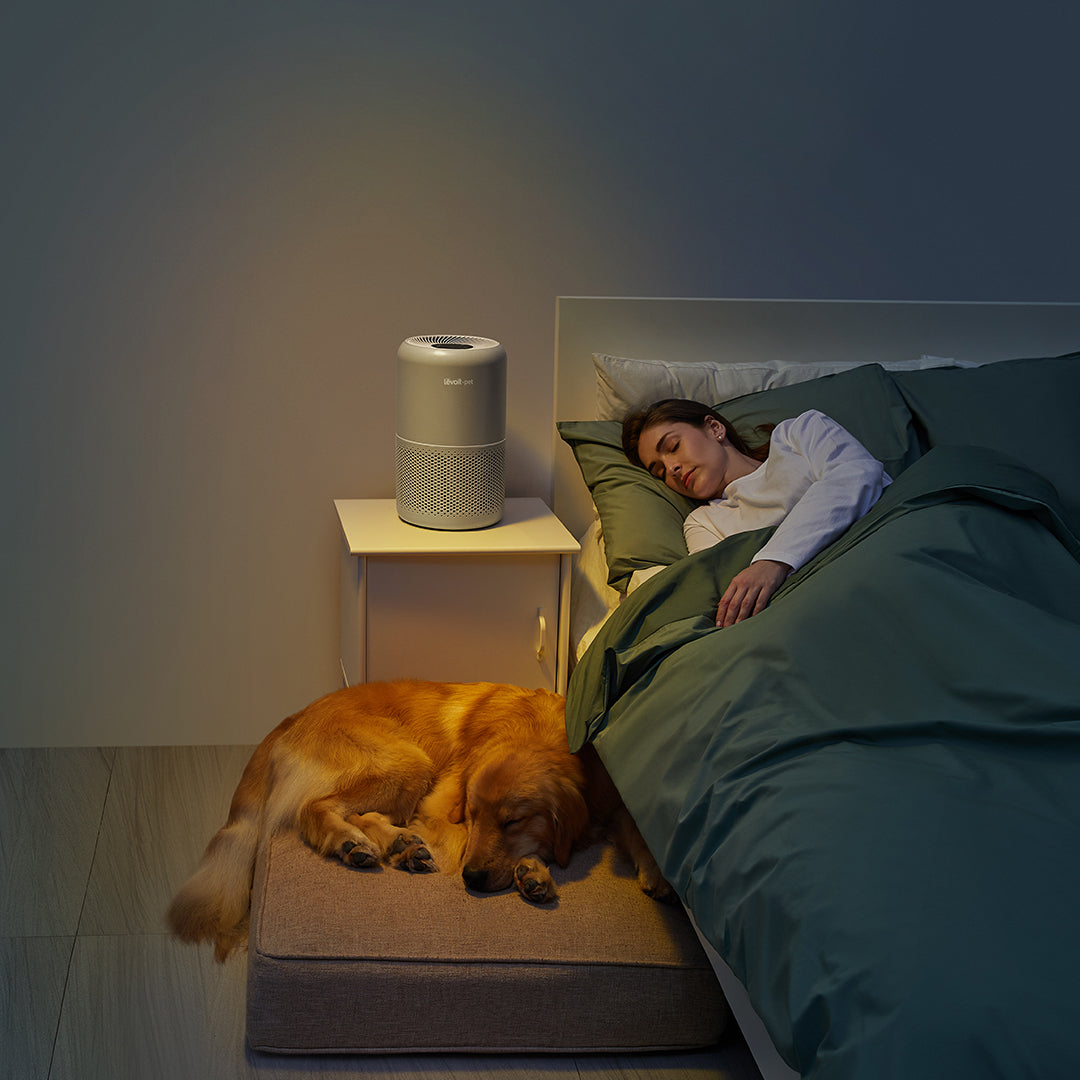 Levoit Core P350 Pet Air Purifier