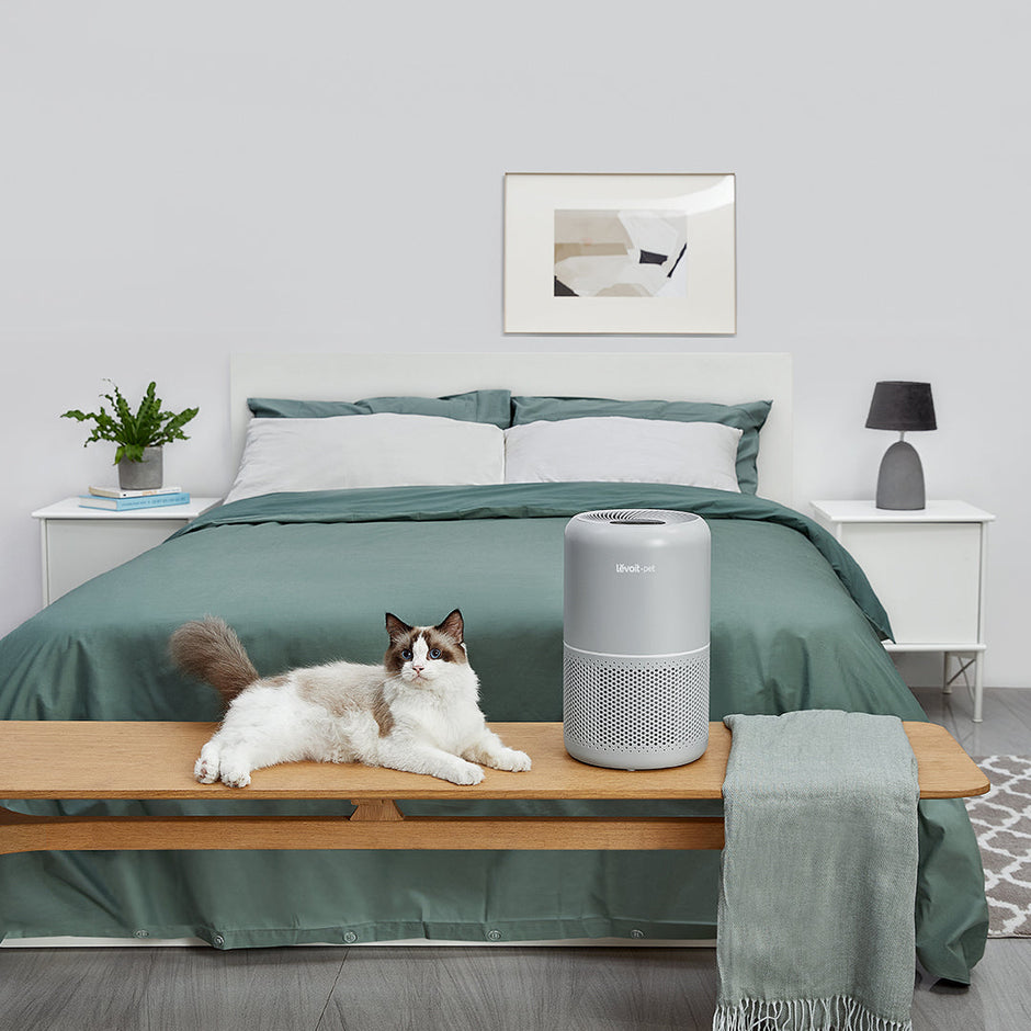 Levoit Core P350 Pet Air Purifier