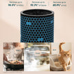 Activated carbon replacement filter, blue honeycomb pattern with textured top