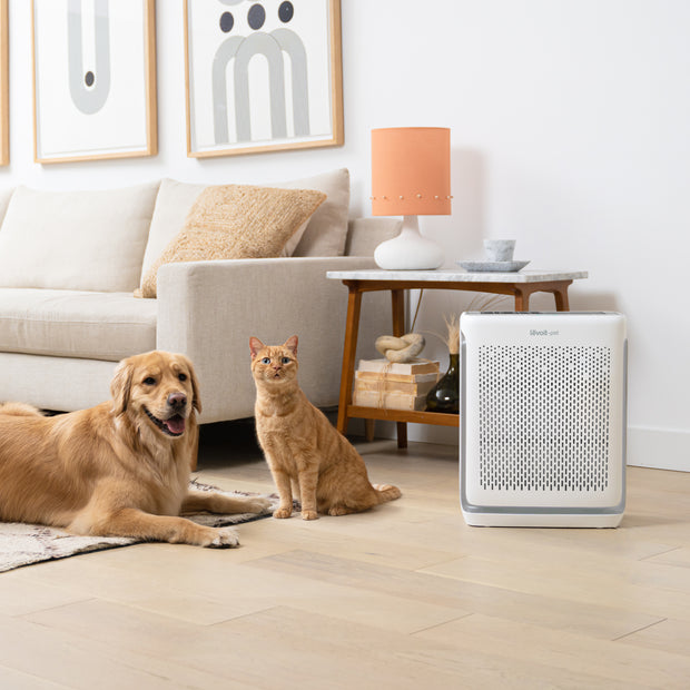 [Meowmi Kingdom] Levoit Vital 200S Smart True HEPA Pet Air Purifier