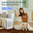 White air purifier near a woman and small dog, shown in a living room