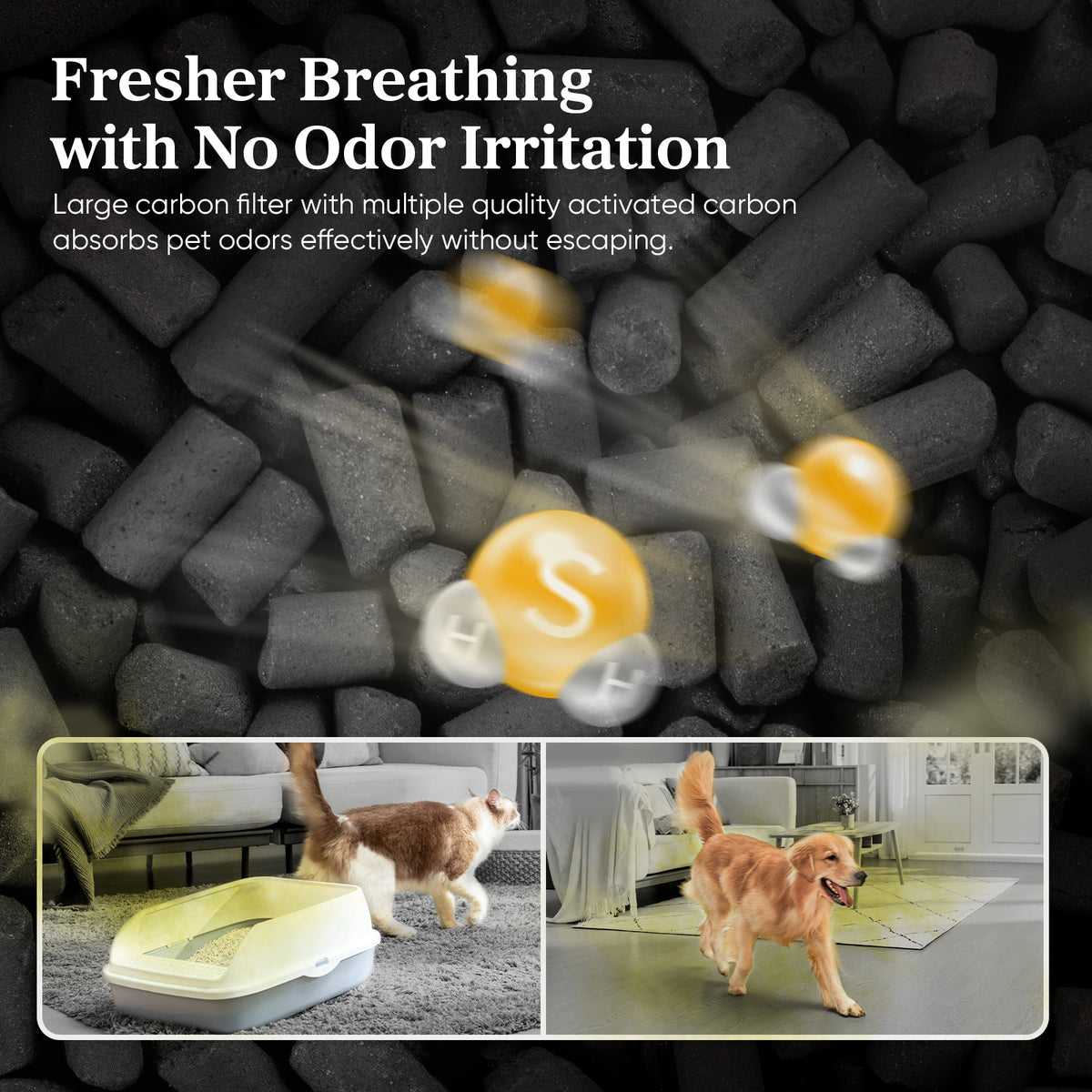 White air purifier with pet area, showcasing activated carbon filter concept