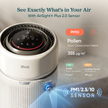 White Levoit air purifier with PM2.5/PM10 sensor readout and top LED light