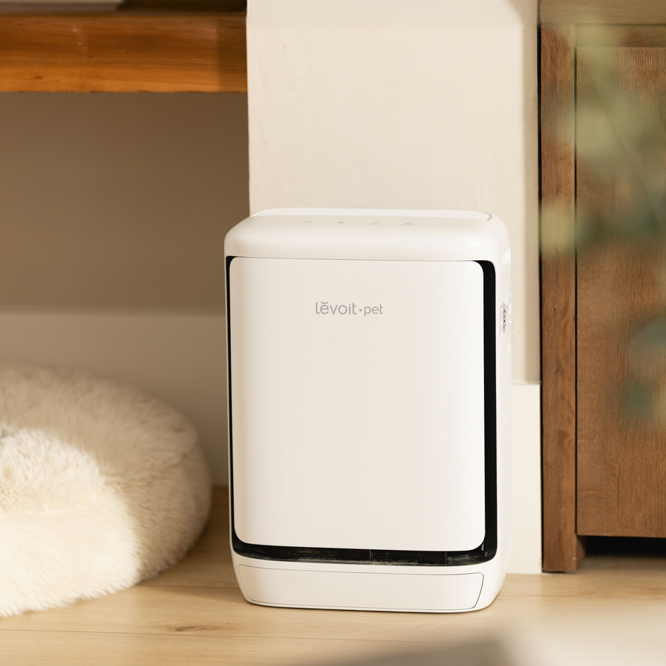 Levoit pet smart air purifier, white compact unit with front intake window
