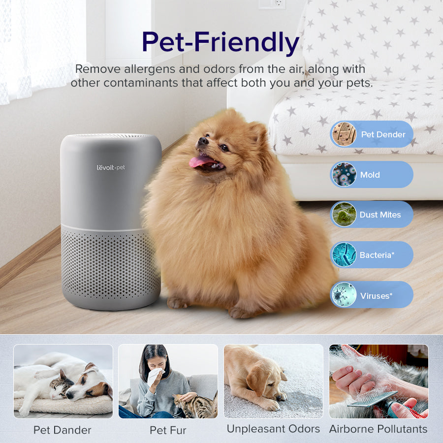 Levoit Core P350 pet air purifier beside a fluffy tan dog with pet-protection icons