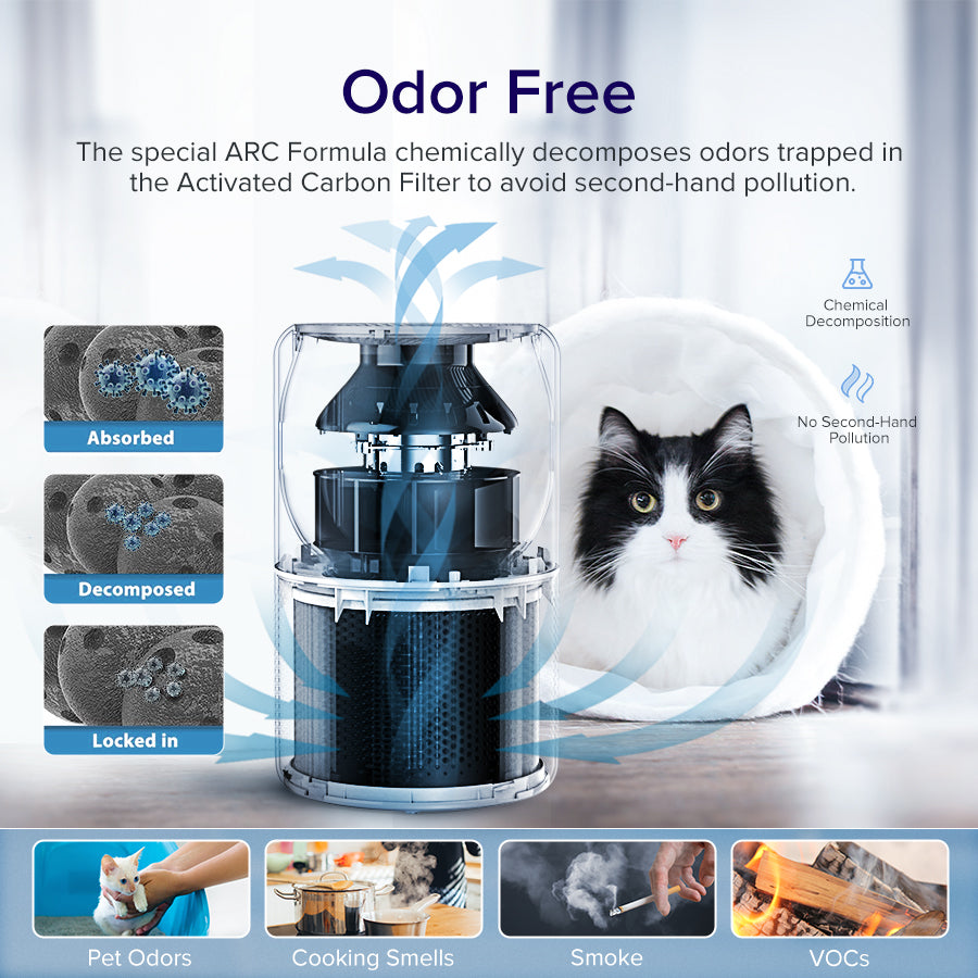 Levoit Core P350 pet air purifier next to a black-and-white cat