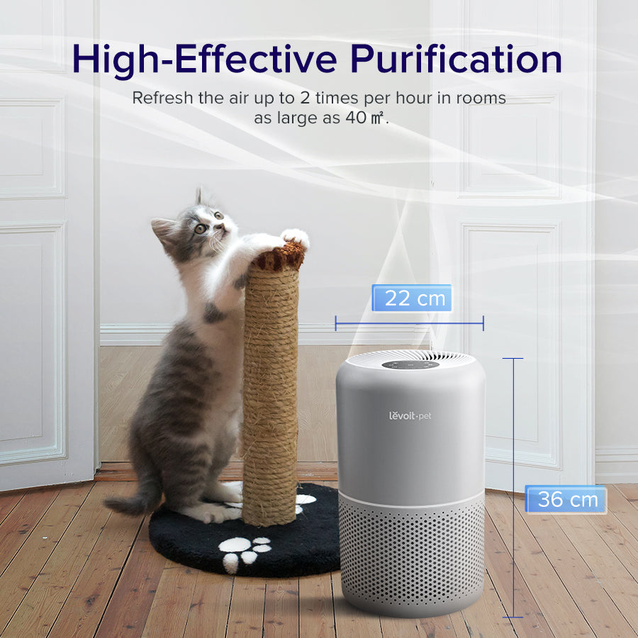Levoit Core P350 pet air purifier with top air vent near a kitten scratching mat